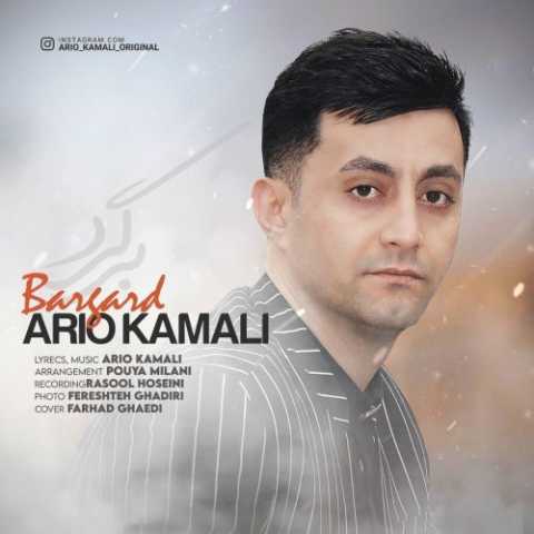 Ario Kamali Bargard